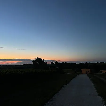 Vineyard At Chateau Puynard * Berson