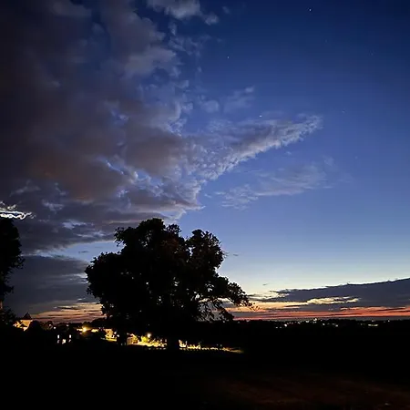Lejlighed Vineyard At Chateau Puynard