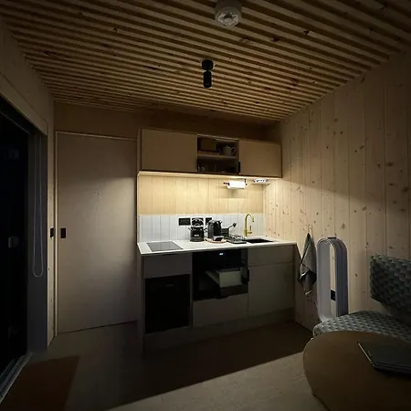 Vineyard At Chateau Puynard * Berson