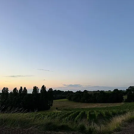 Lejlighed Vineyard At Chateau Puynard