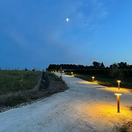 Vineyard At Chateau Puynard Berson