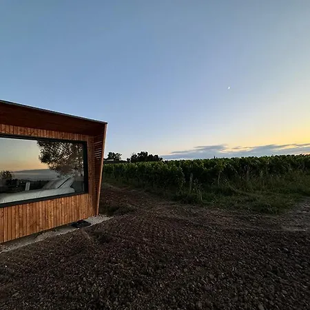 Vineyard At Chateau Puynard Berson