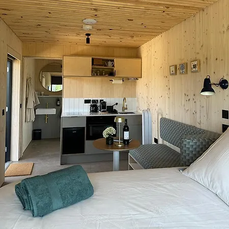 Vineyard At Chateau Puynard Berson