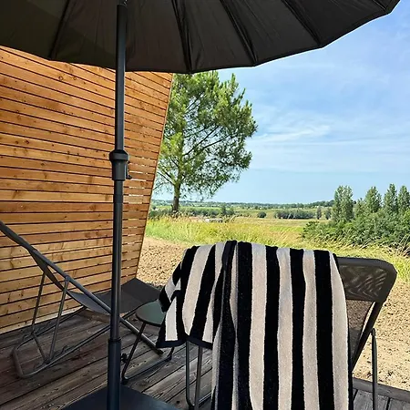 Vineyard At Chateau Puynard * Berson