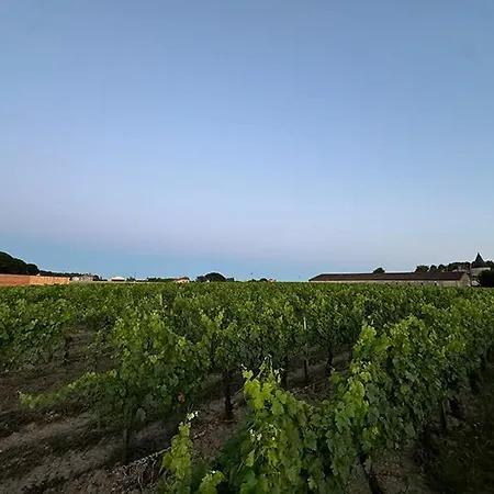 Apartment Vineyard At Chateau Puynard