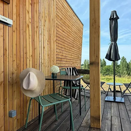 Vineyard At Chateau Puynard Berson