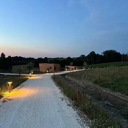 Vineyard At Chateau Puynard *