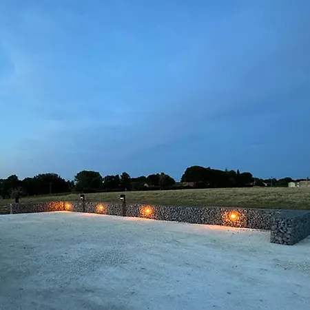 Vineyard At Chateau Puynard
