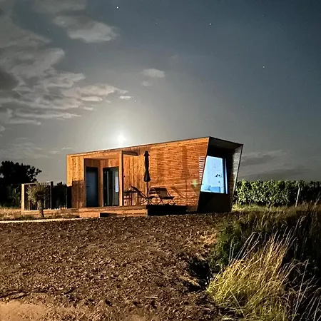 Vineyard At Chateau Puynard