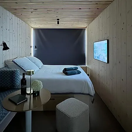 Vineyard At Chateau Puynard * Berson