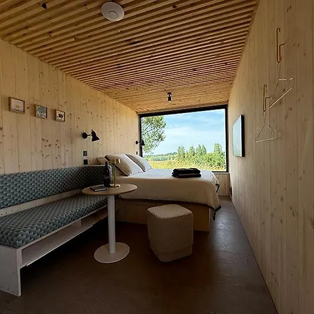 Vineyard At Chateau Puynard Berson