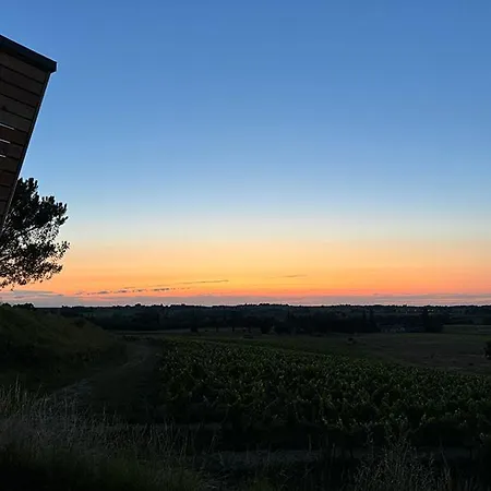 Vineyard At Chateau Puynard * Berson