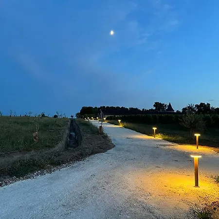 Vineyard At Chateau Puynard