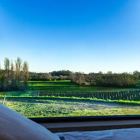 Vineyard At Chateau Puynard * Berson