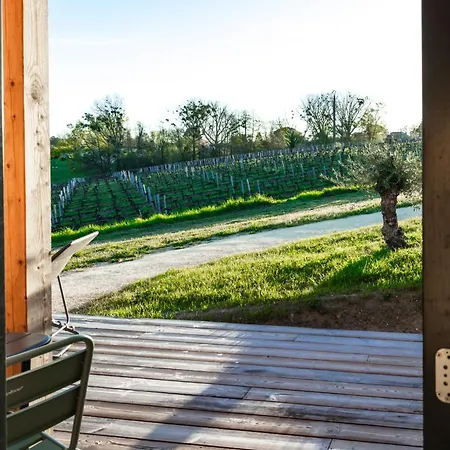 Vineyard At Chateau Puynard *