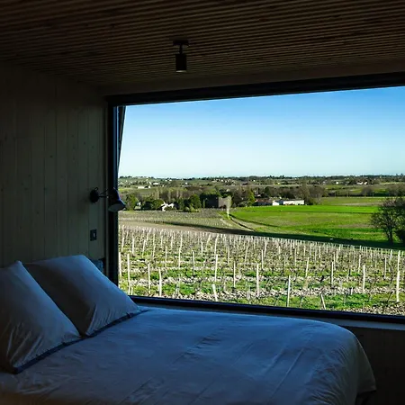 Vineyard At Chateau Puynard