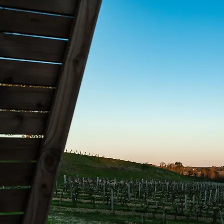Vineyard At Chateau Puynard * Berson