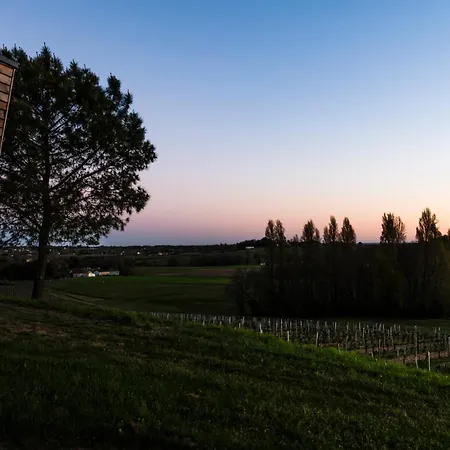Vineyard At Chateau Puynard Berson