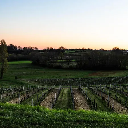 Vineyard At Chateau Puynard * Berson