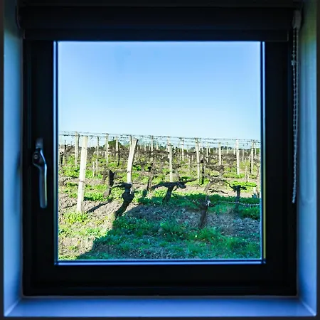 شقة Vineyard At Chateau Puynard Berson