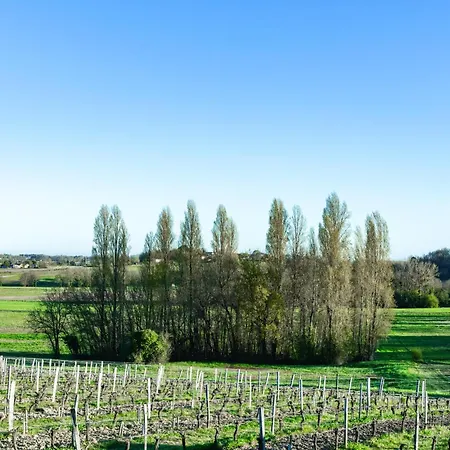 Vineyard At Chateau Puynard شقة *