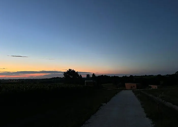 Vineyard At Chateau Puynard * Berson