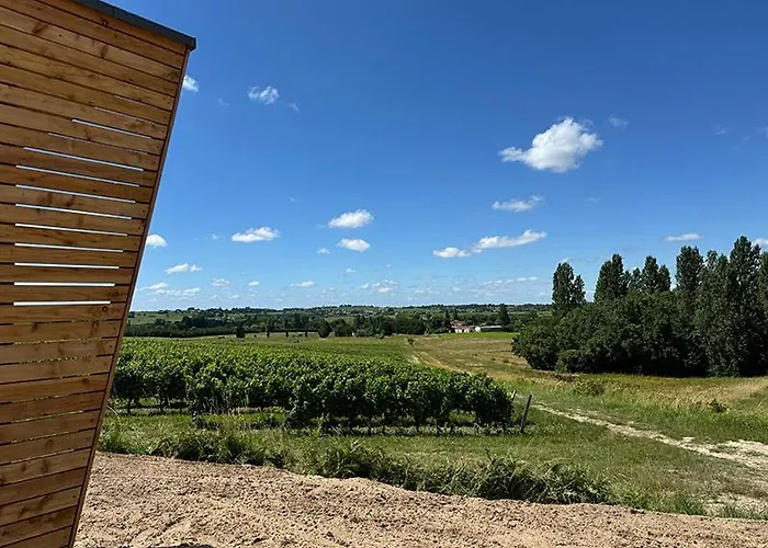 Vineyard At Chateau Puynard Lägenhet