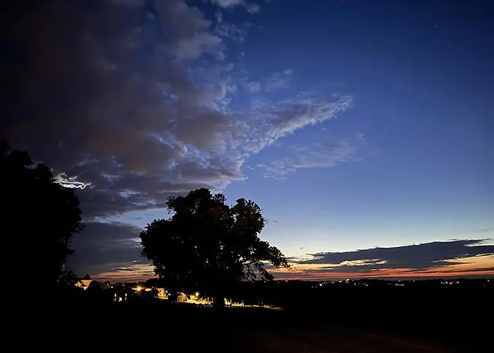 Lägenhet Vineyard At Chateau Puynard