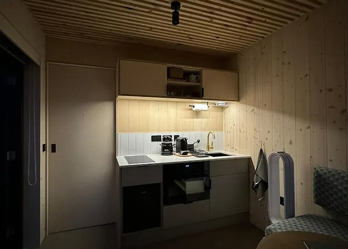 Vineyard At Chateau Puynard * Berson