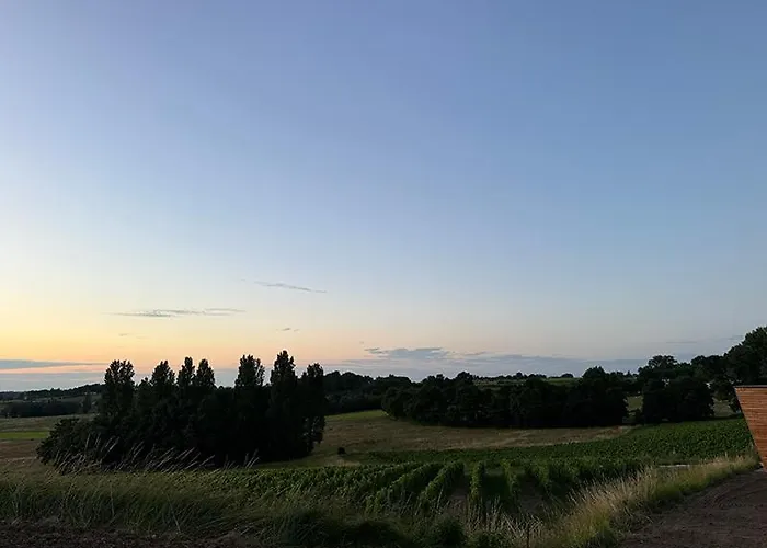 Lägenhet Vineyard At Chateau Puynard