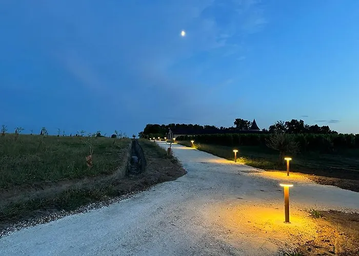 Vineyard At Chateau Puynard Berson