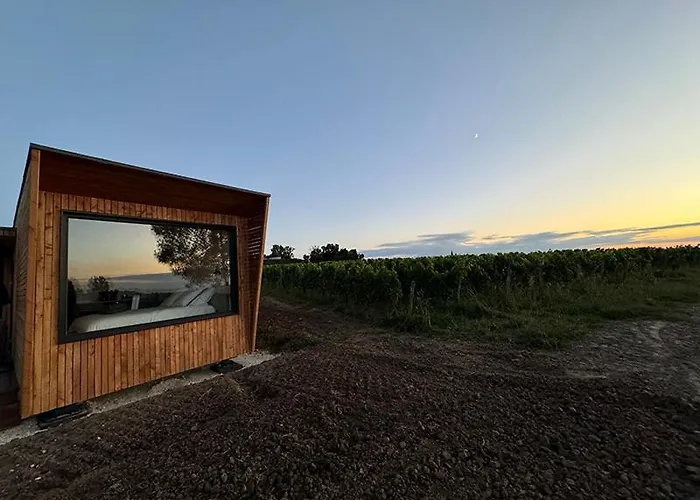 Vineyard At Chateau Puynard Berson