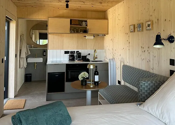 Vineyard At Chateau Puynard Berson