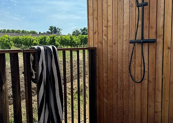 Vineyard At Chateau Puynard * Berson