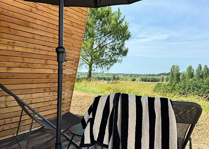 Vineyard At Chateau Puynard * Berson