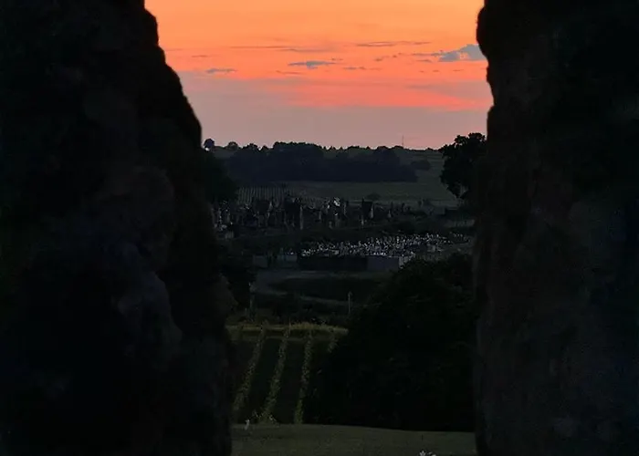 Lägenhet Vineyard At Chateau Puynard *