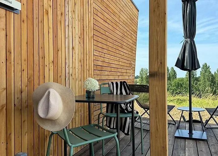 Vineyard At Chateau Puynard Berson