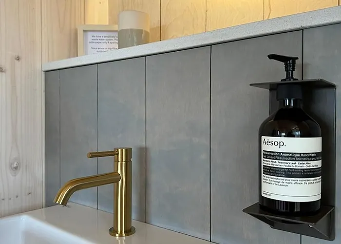 Vineyard At Chateau Puynard * Berson