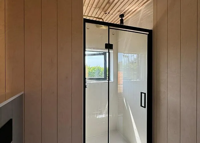 Vineyard At Chateau Puynard