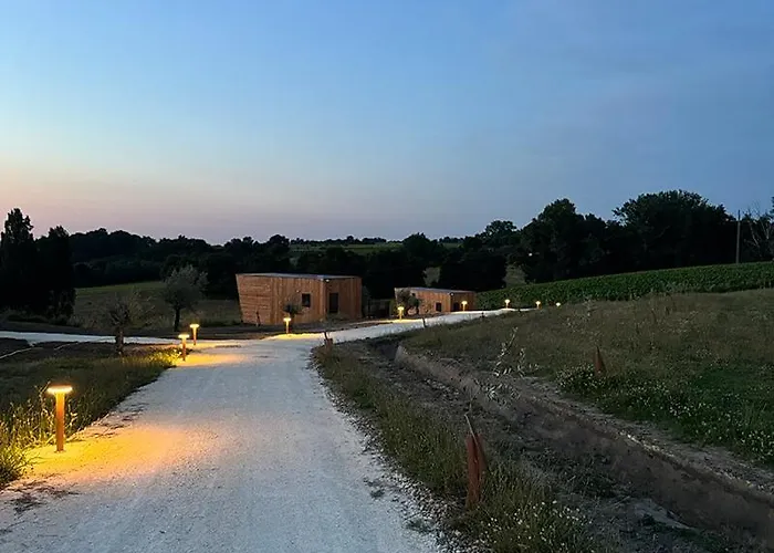 Vineyard At Chateau Puynard *