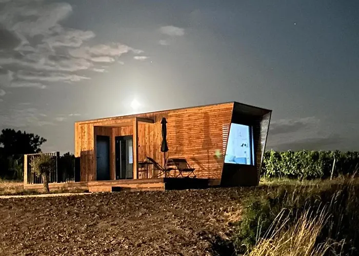 Vineyard At Chateau Puynard