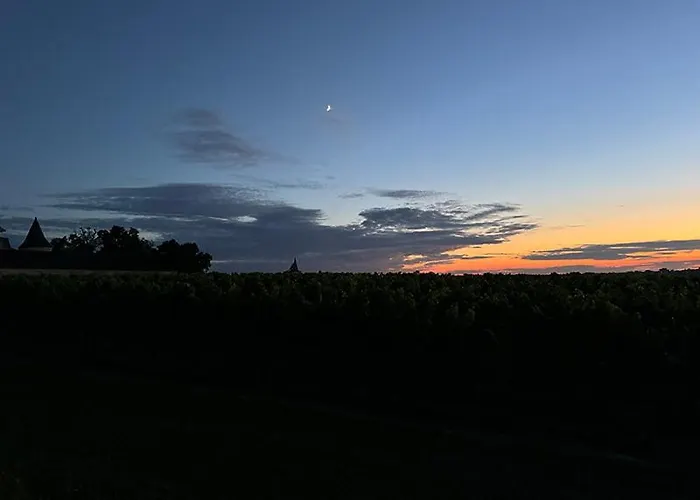 Vineyard At Chateau Puynard Berson
