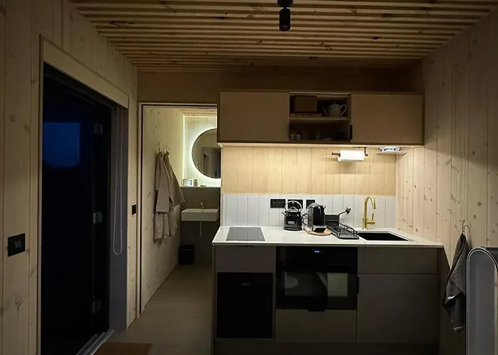 Vineyard At Chateau Puynard