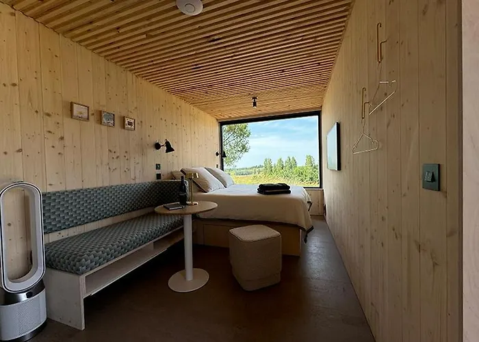 Vineyard At Chateau Puynard Berson