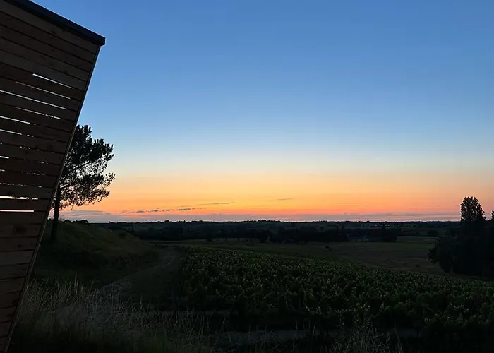 Vineyard At Chateau Puynard * Berson