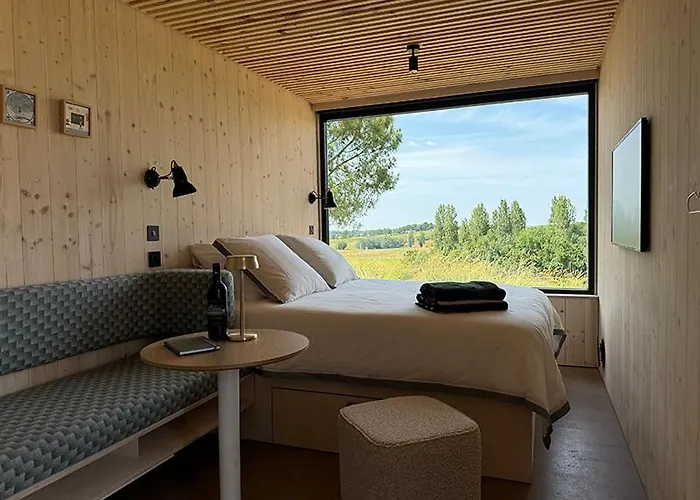 Vineyard At Chateau Puynard *